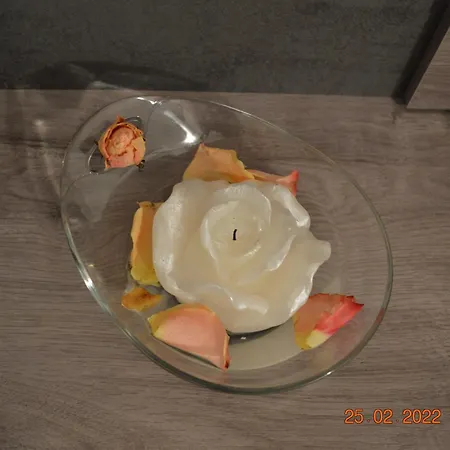 Apartma In Wellness Mesecina *