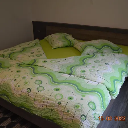 Apartma In Wellness Mesecina Daire *