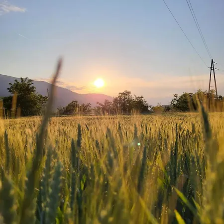 Apartma In Wellness Mesecina