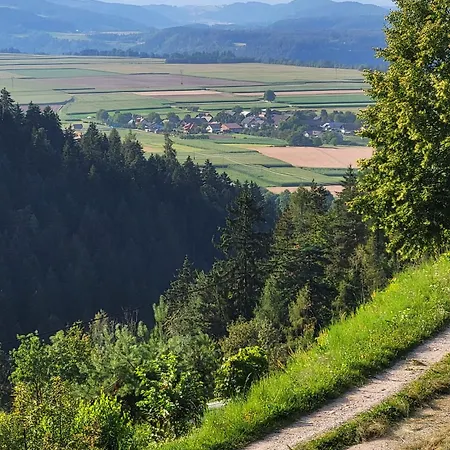 Apartma In Wellness Mesecina *