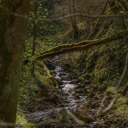 Apartment Apartma In Wellness Mesecina Libelice