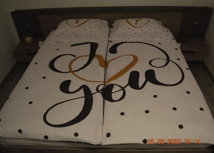 Apartma In Wellness Mesecina アパート *