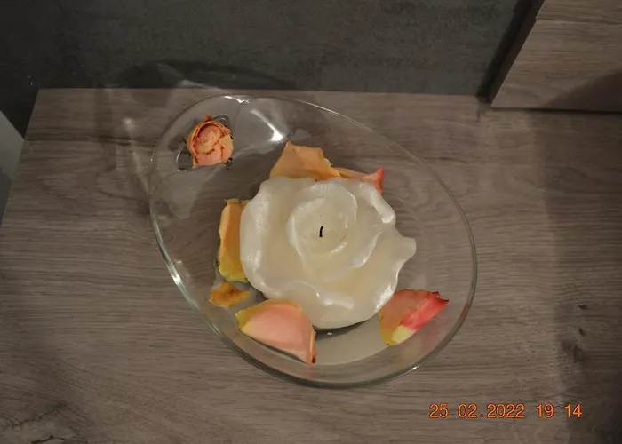 Apartma In Wellness Mesecina *