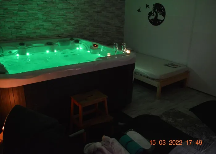 Apartma In Wellness Mesecina