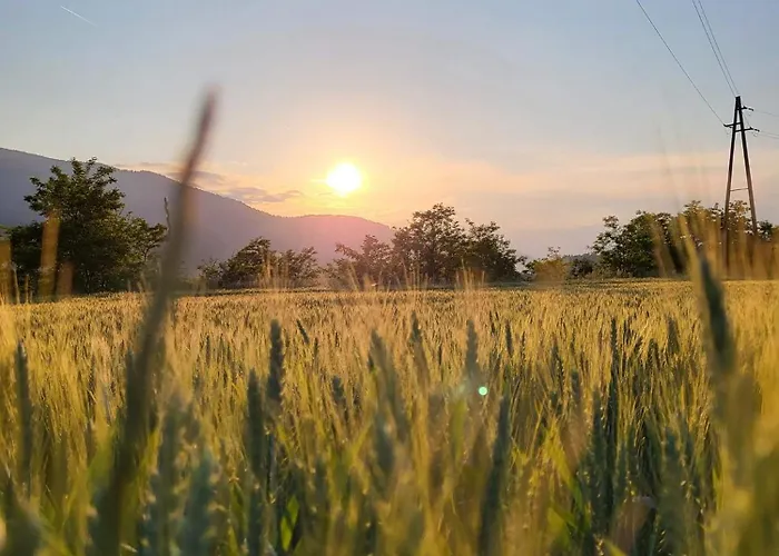 Apartma In Wellness Mesecina