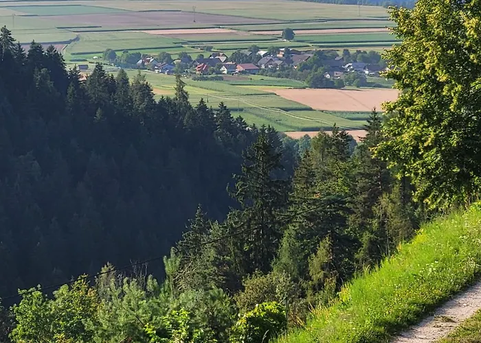 Apartma In Wellness Mesecina *