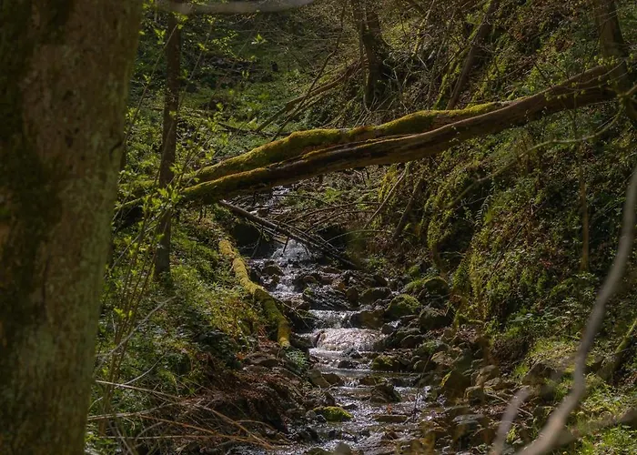 Apartma In Wellness Mesecina * Libelice