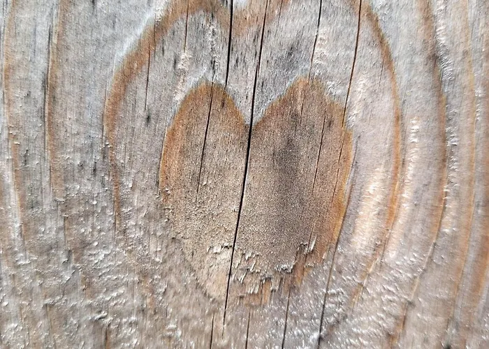 Apartma In Wellness Mesecina 公寓 Libelice